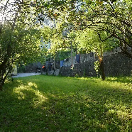 Watermill Moinho Garcia Хостел Pinheiro da Bemposta