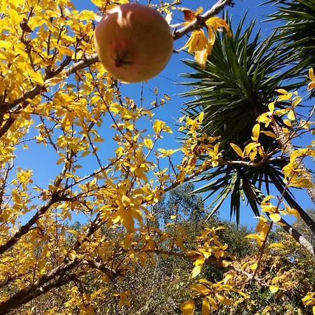 Watermill Moinho Garcia Vandrerhjem