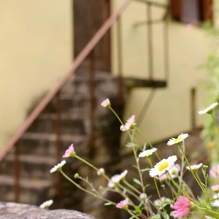 Vandrerhjem Watermill Moinho Garcia