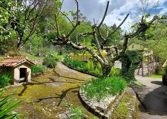 Watermill Moinho Garcia Pinheiro da Bemposta