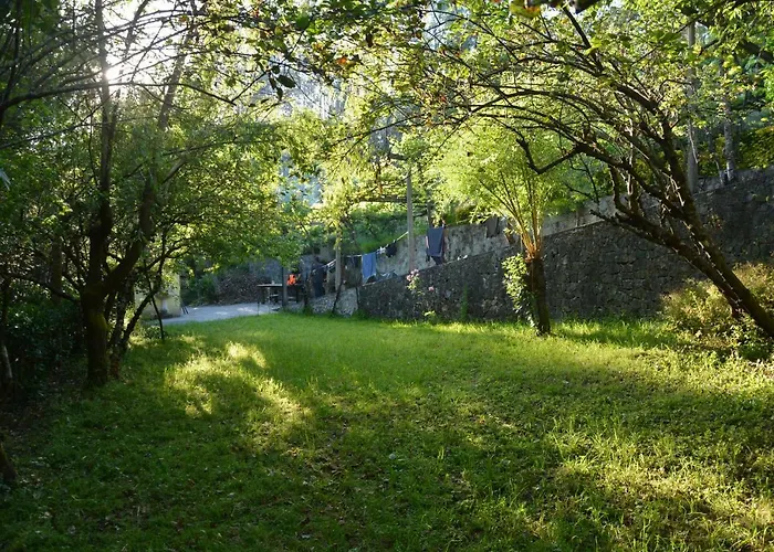 Watermill Moinho Garcia Hostel Pinheiro da Bemposta