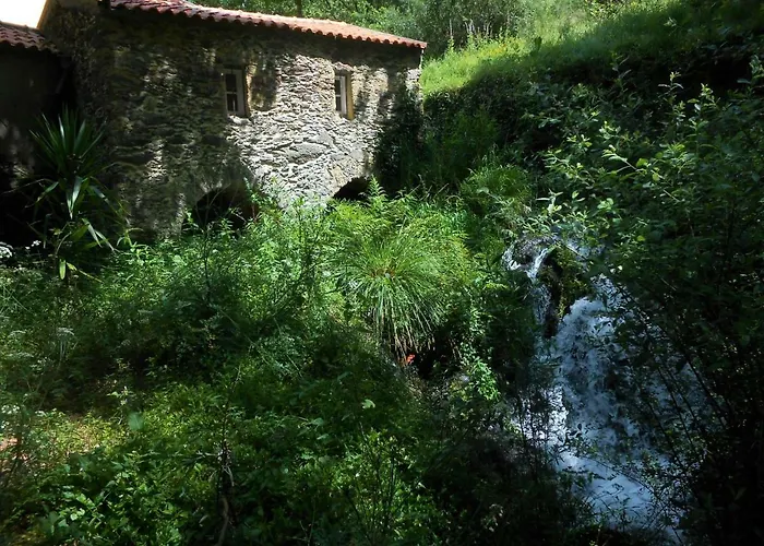 Watermill Moinho Garcia Hostel Pinheiro da Bemposta
