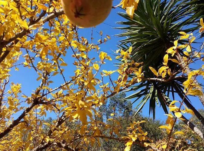 Watermill Moinho Garcia Hostel