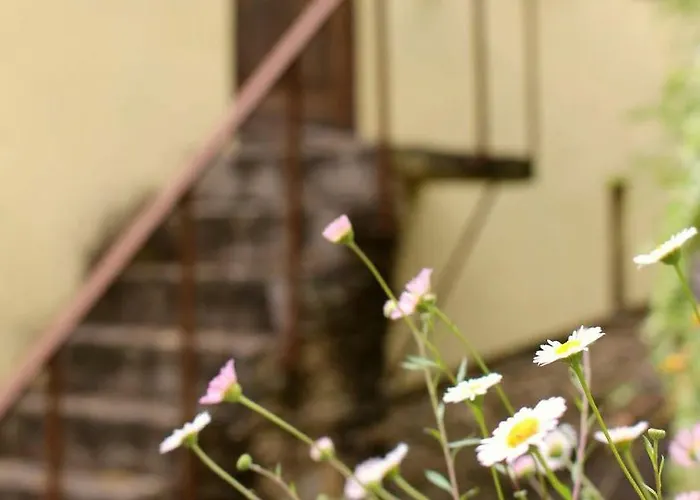 Hostel Watermill Moinho Garcia